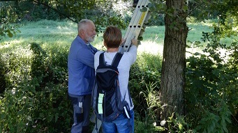 Heckenpflege im Nöthnitzgrund