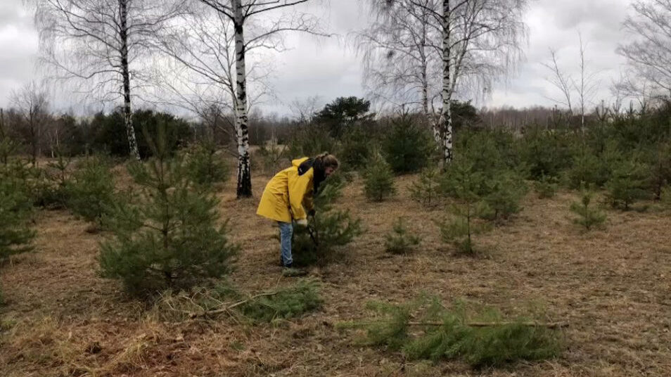 Weihnachtspflegeeinsatz Dresdner Heller