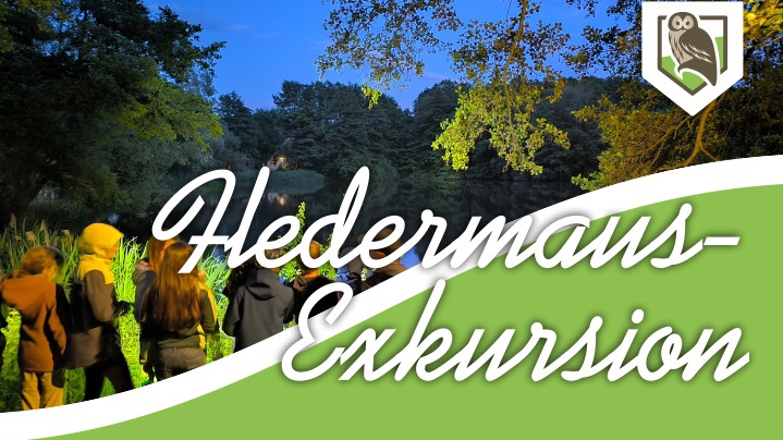 Fledermaus-Exkursion zur Batnight 2025