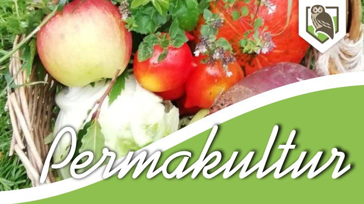 Permakultur – Dein Schlüssel zu nachhaltiger Fülle