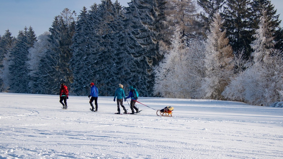 Winterwanderung