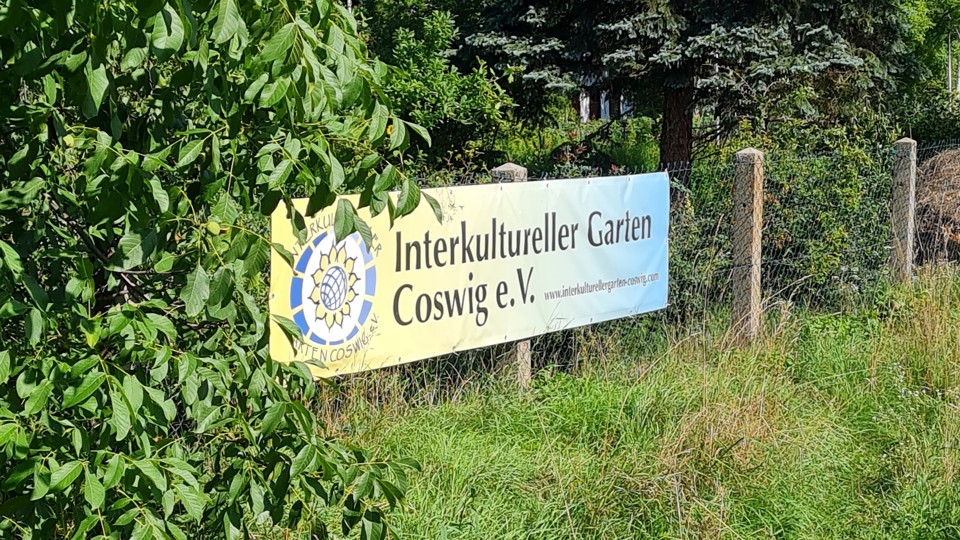 Kräuter entdecken und genießen - Führung und Imbiss im Gartenverein