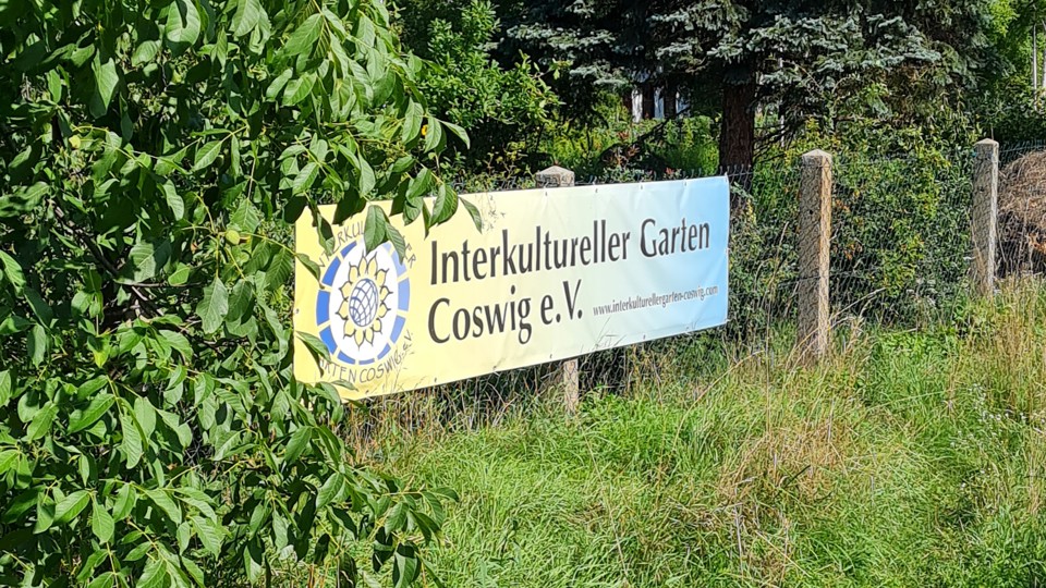 Kräuter entdecken und genießen - Führung und Imbiss im Gartenverein