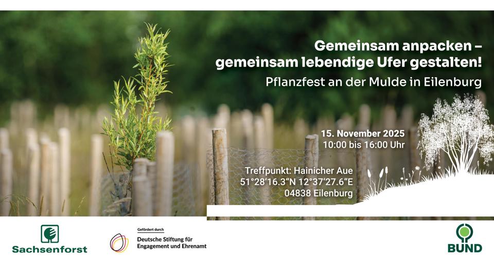 Gemeinsames Pflanzen in der Hainicher Aue