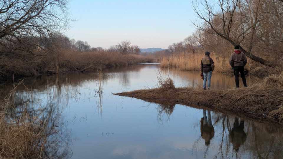 Auwaldpflege in der Elblache Stetzsch