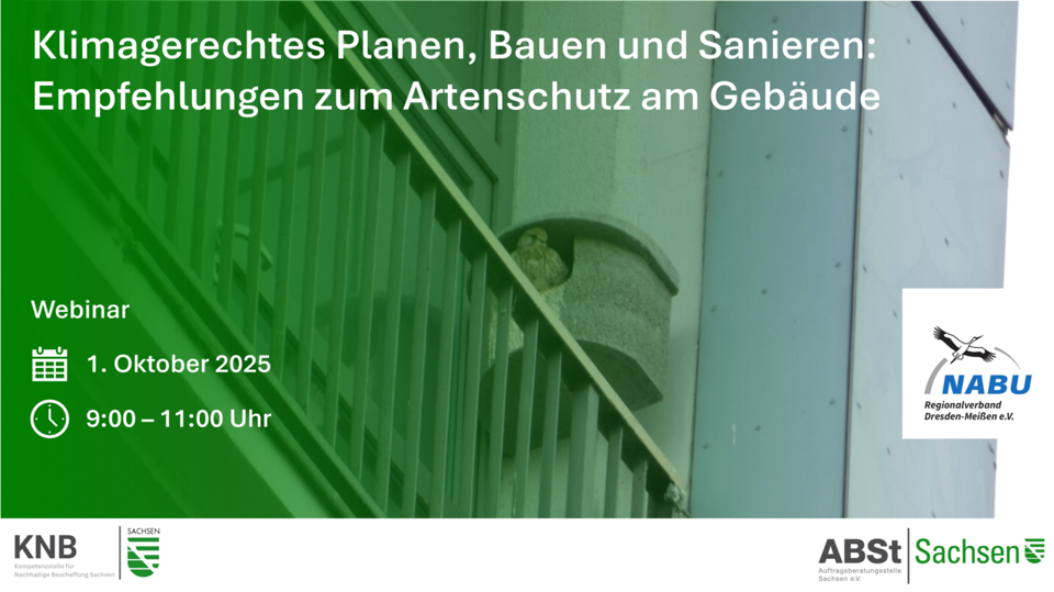 Klimagerechtes Planen, Bauen und Sanieren: Empfehlungen zum Artenschutz am Gebäude
