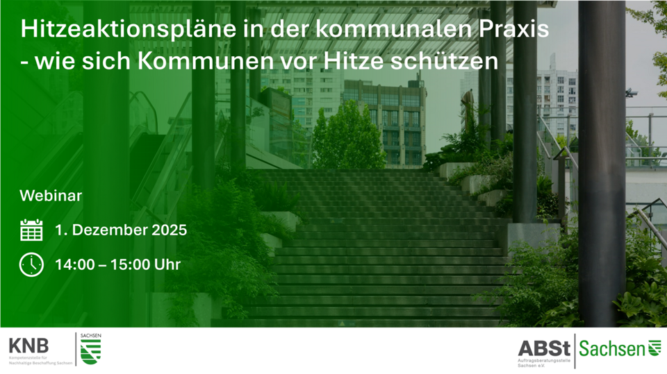 Hitzeaktionspläne in der kommunalen Praxis - wie sich Kommunen vor Hitze schützen
