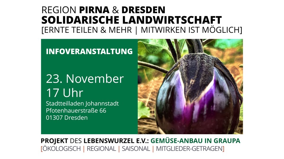 Frisches Gemüse, das verbindet – Infoveranstaltung des Solawi-Projekts Gemüse-Anbau in Graupa