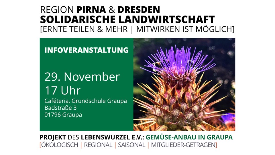 Frisches Gemüse, das verbindet – Infoveranstaltung des Solawi-Projekts Gemüse-Anbau in Graupa
