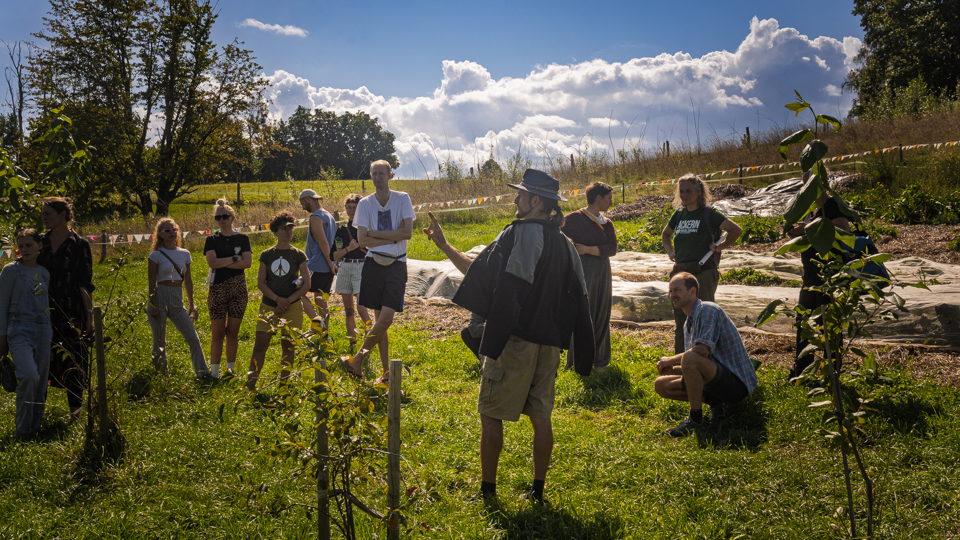 Crowd- & Co-Funding: Jeder Baum ist ein Stück Zukunft