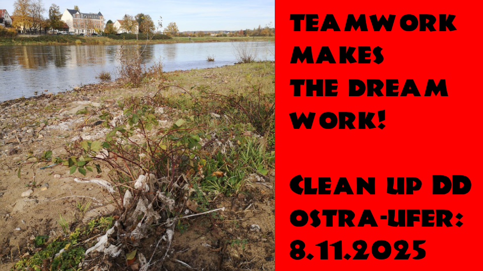 Clean up am Elbufer Ostragehege