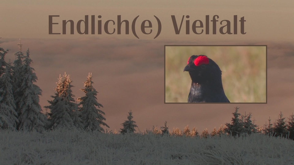 Endlich(e) Vielfalt - Naturfilm von Andreas Winkler