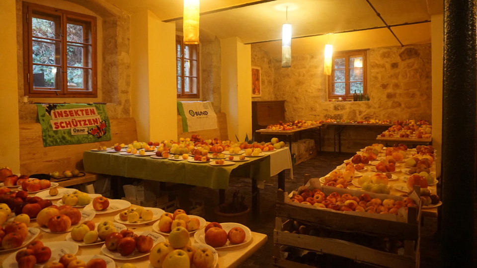 gemeinsamer Besuch unserer Apfelausstellung