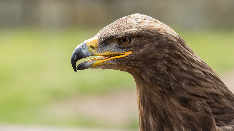 Mexikos Pazifikküste zwischen Puerto Vallata und Mazatlan