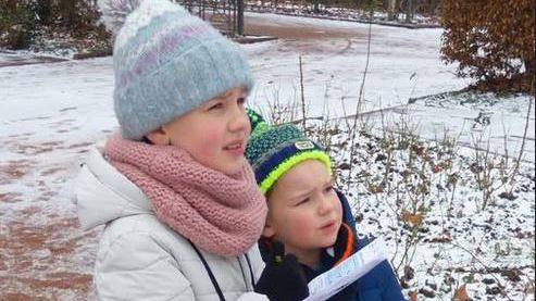 Ornithologischer Treff zur „Stunde der Wintervögel“