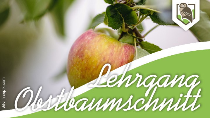 Lehrgang Obstbaumschnitt