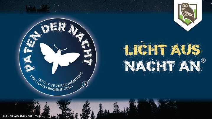 Was bedeutet Lichtverschmutzung?