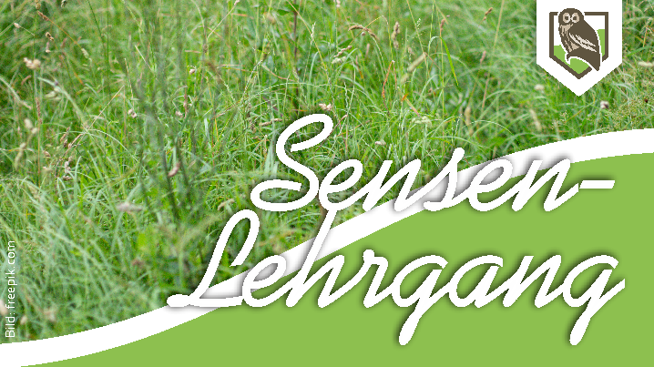 Sensenlehrgang