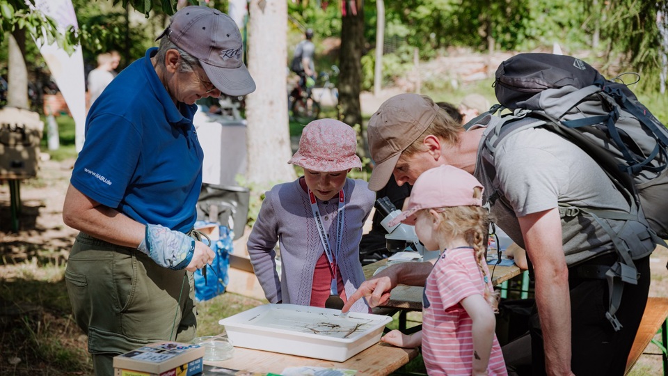 Globetrotter-Testival