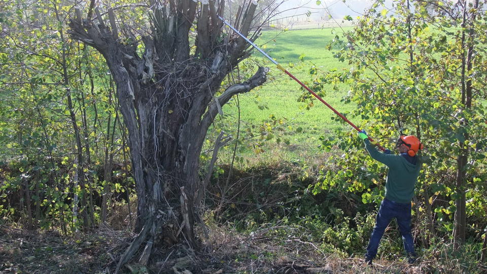 Nistkästen reinigen im Nöthnitzgrund