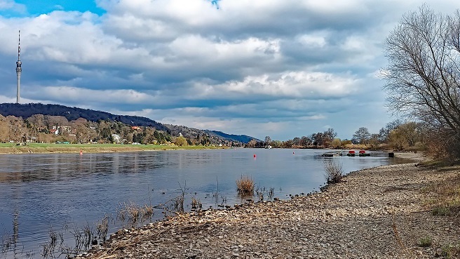 Halbtagsexkursion (Wasservogelzählung) von der Niederwarthaer Elbbrücke bis Kötitz