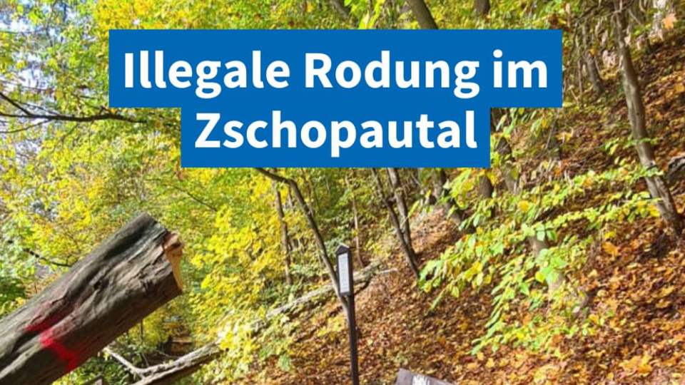 Illegale Machenschaften in Lichtenwalde - ein Naturschutzkrimi tatsächlicher Begebenheiten
