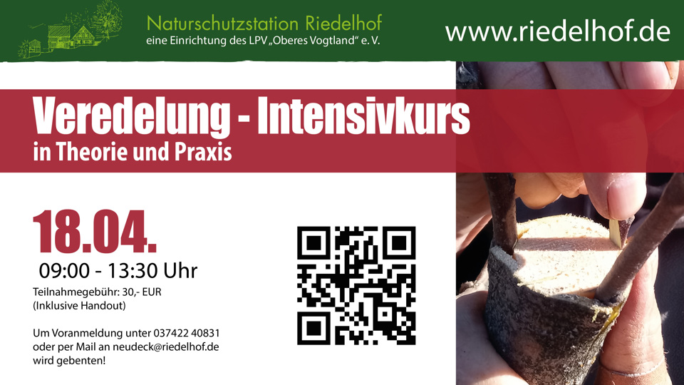 Veredelung - Intensivkurs in Theorie und Praxis