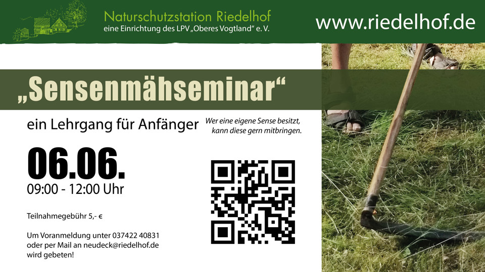 "Sensenmähseminar" - ein Lehrgang für Anfänger