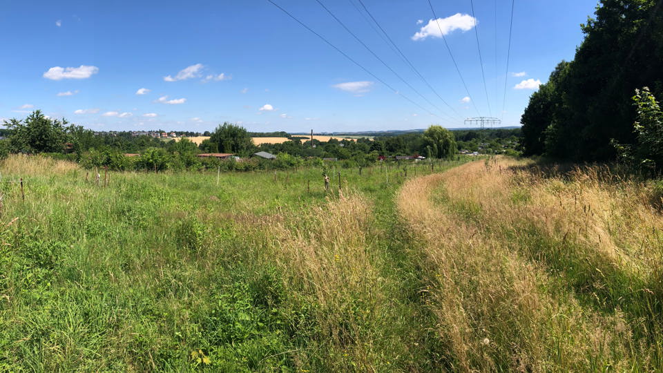 Arbeitseinsatz auf der Schmetterlingswiese Hilbersdorf - Gehölzschnitt