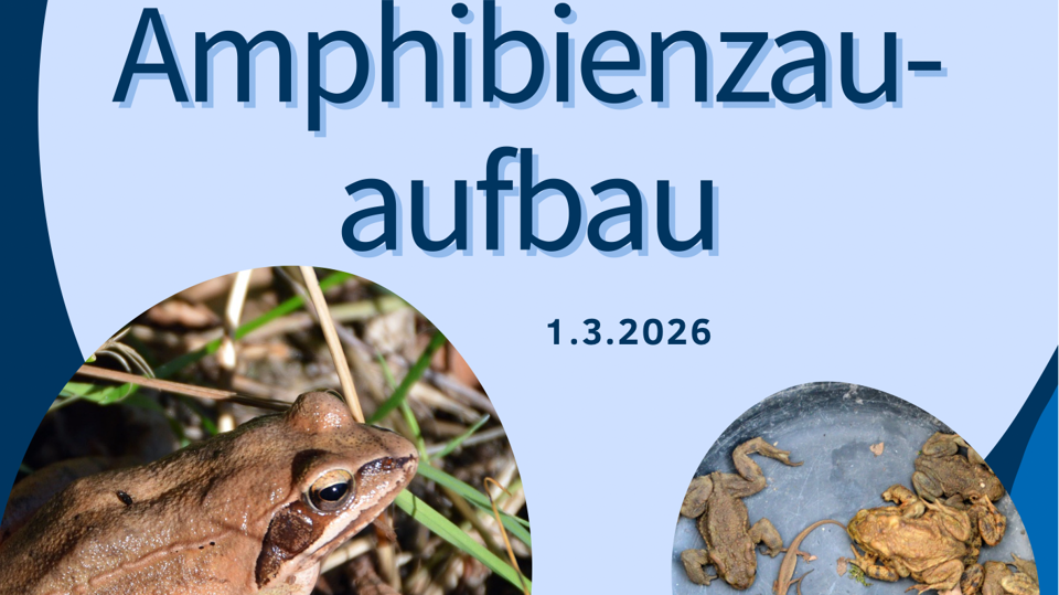 Arbeitseinsatz Amphibienzaunaufbau