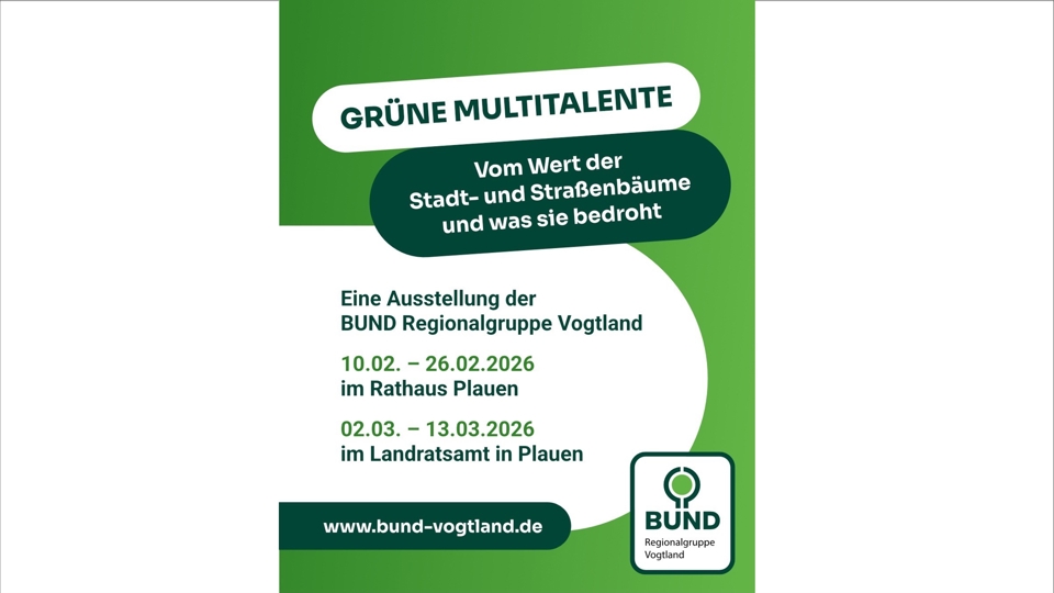 Grüne Multitalente - vom Wert der Stadt- und Straßenbäume