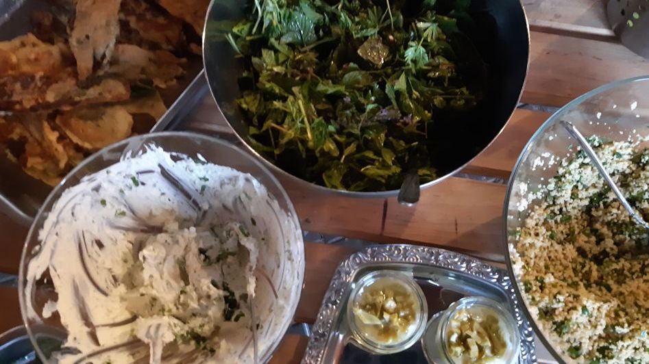 Wilde Küche ... mit dem ersten Grün