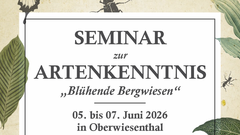 Artenkenntnisseminar "Blühende Bergwiesen"