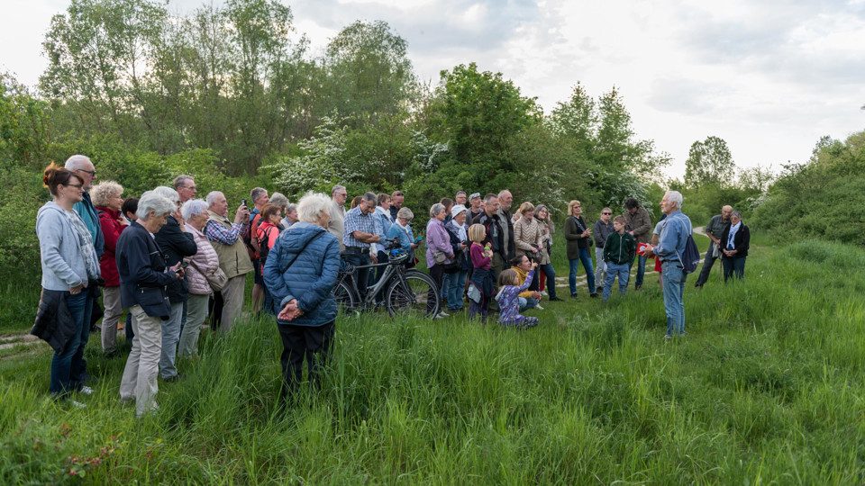 Das Liebesleben von Kuckuck und Nachtigall