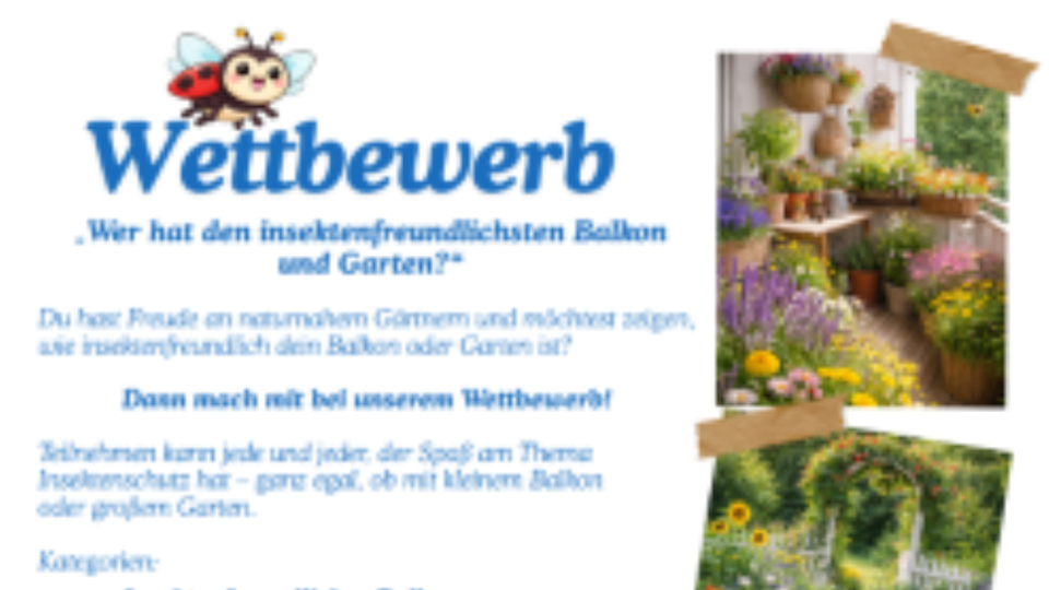 Fotowettbewerb: Wer hat den insektenfreundlichsten Garten/ Balkon?