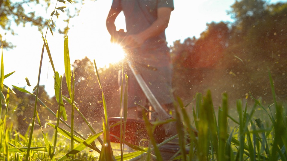 Naturnahe Gartengestaltung