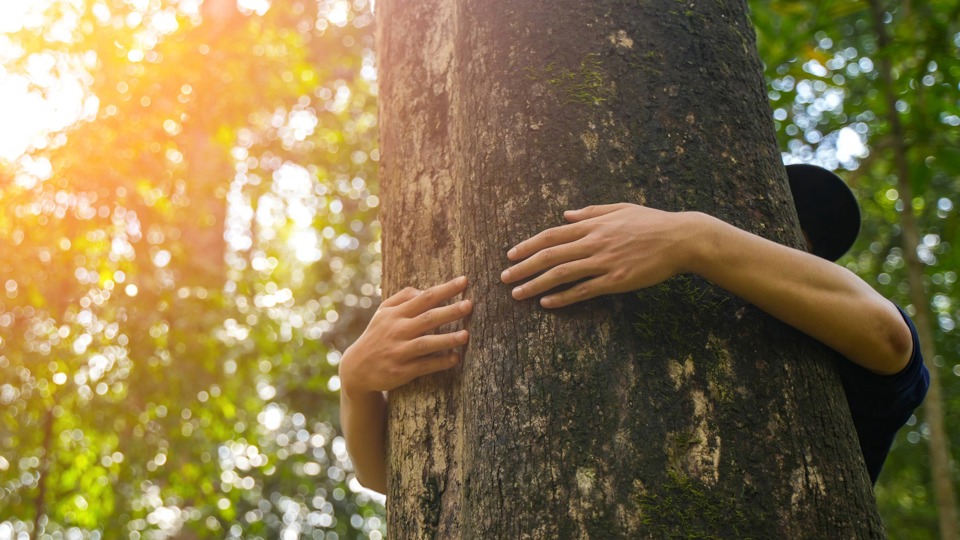 Klimagefühle – Gemeinsam durch unsichere Zeiten