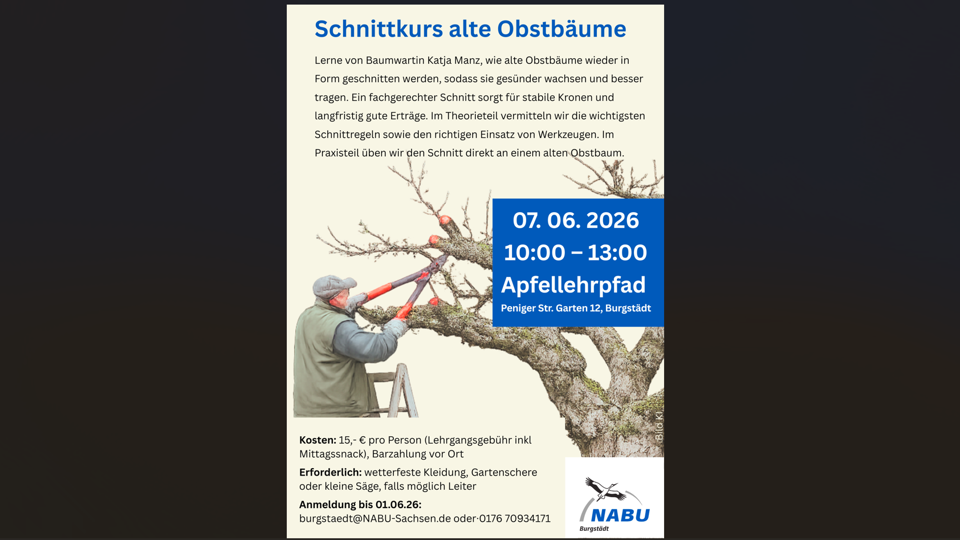 Schnittkurs alte Obstbäume