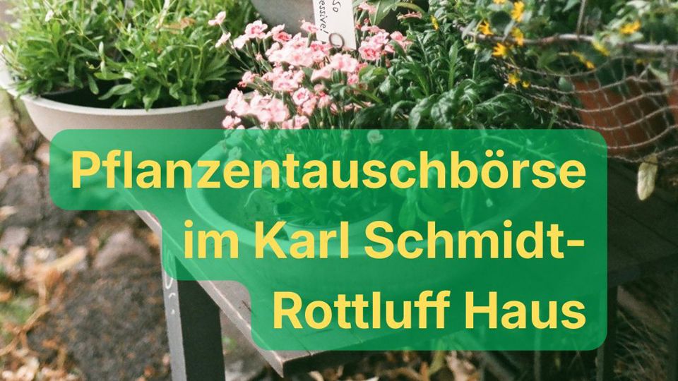Pflanzentauschbörse in Karl Schmidt-Rottluff Haus
