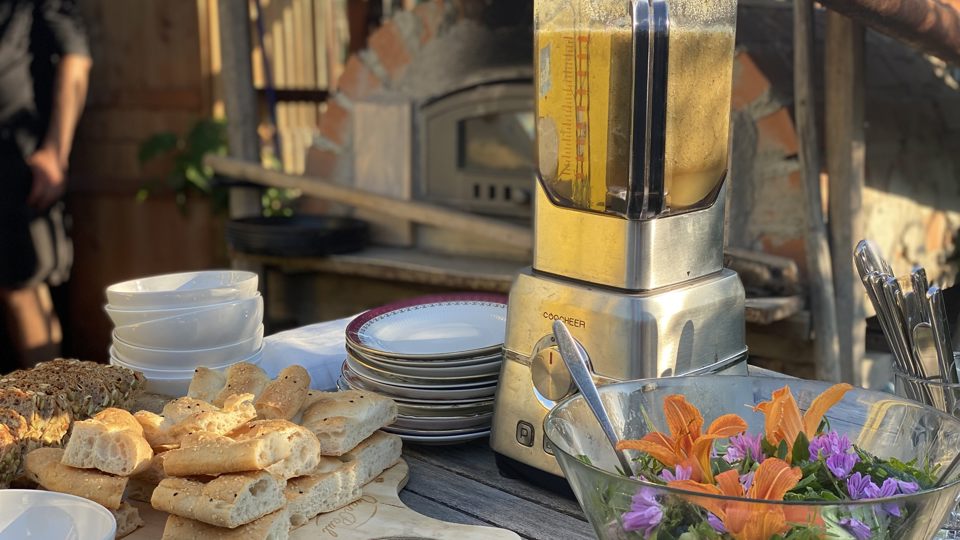 Wild Things – Wildkräuterworkshop