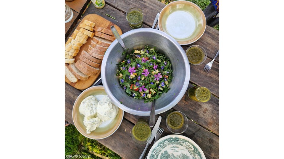 Wild Things – Wildkräuterworkshop