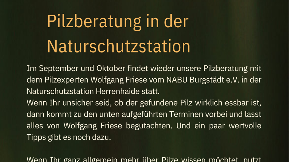 Pilzberatung in der Naturschutzstation
