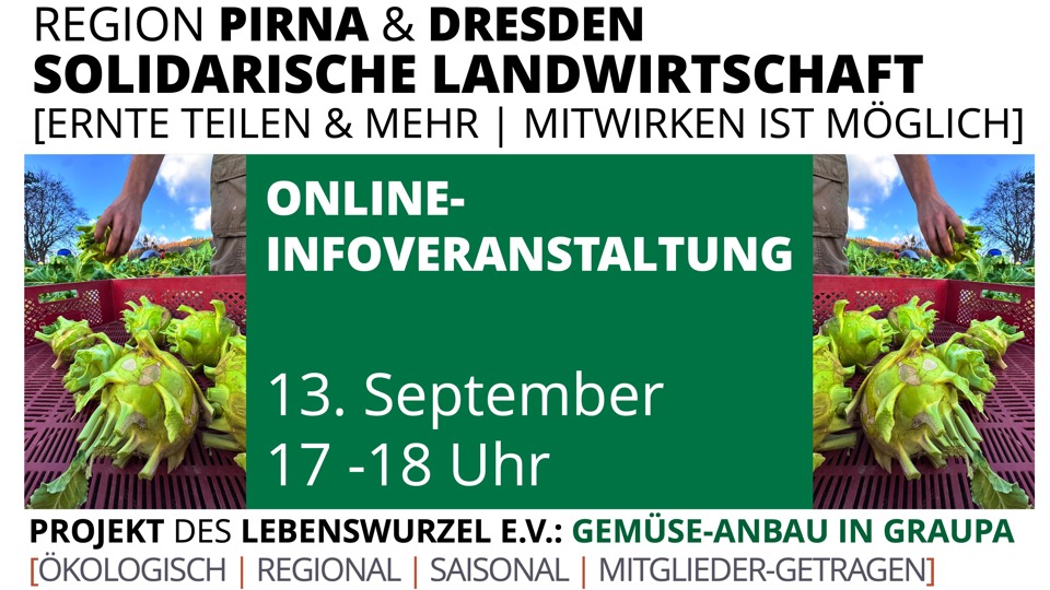 Von Aubergine bis Zucchini – entdecke, wie du Teil der Solawi „Gemüseanbau in Graupa“ werden kannst!“