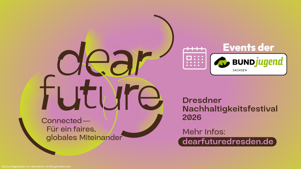 Wer findet Mr. X? – Dear Future Festival