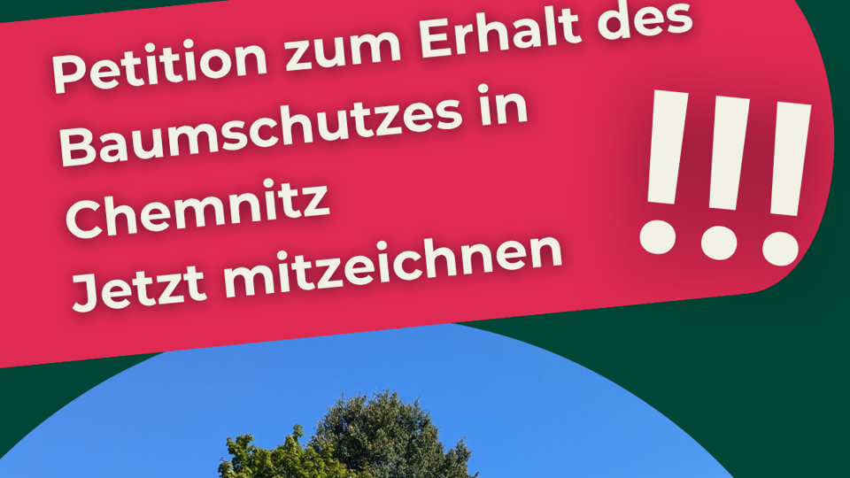 Erhalt des Baumschutzes in Chemnitz! - Petition mitzeichnen!!!