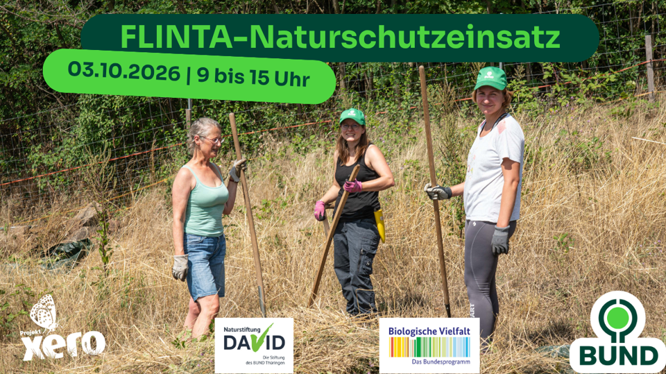 FLINTA*-Naturschutzeinsatz auf dem Zechstein