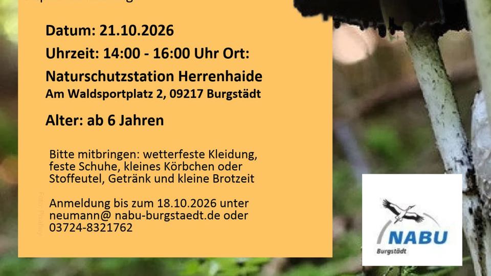 Pilzwanderung in den Herbstferien für Kinder