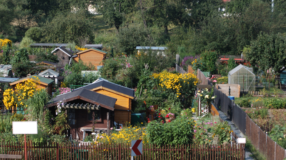 Ärger im Garten? Rechte, Pflichten und das Kleingartengesetz