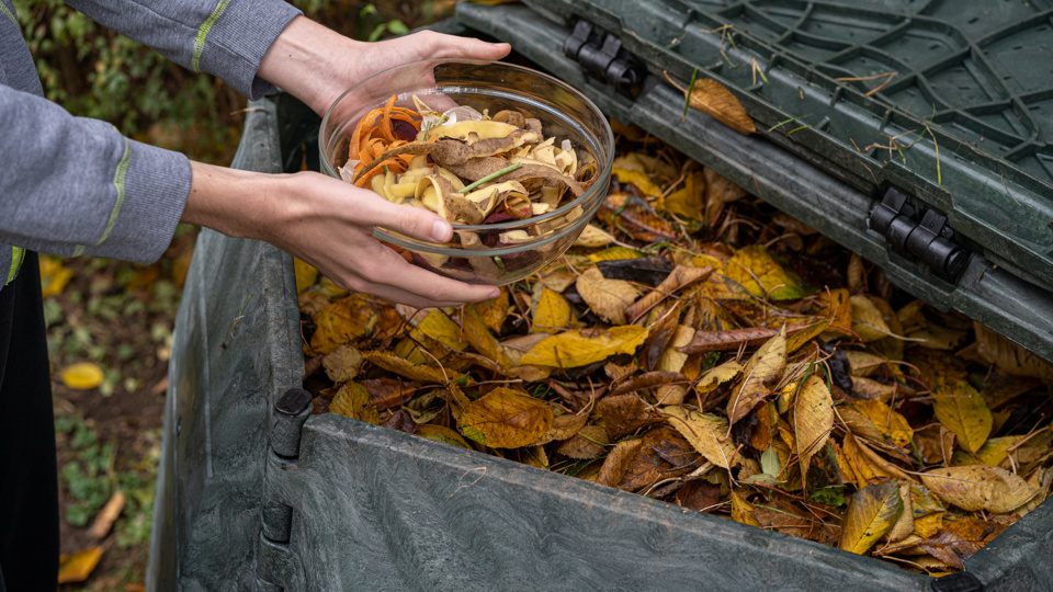 Pflanzen futtern günstig – Lebensmittel selbst anbauen (Urban Gardening)