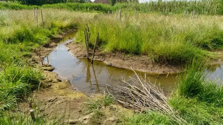 Landesarbeitskreis (LAK) Wasser